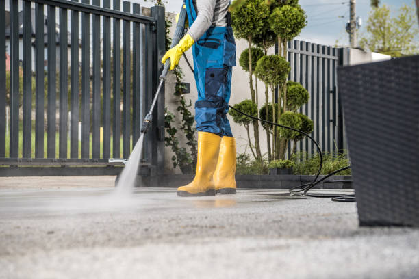 Best Concrete Pressure Washing  in Knoxvle, IL