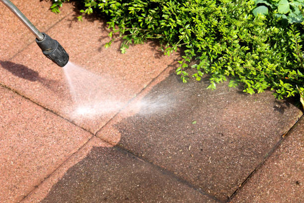 Best Power Washing Near Me  in Knoxvle, IL